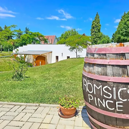 Romsics Pince Vendeghaz - Biro Tours - Nr 219 Дом отдыха